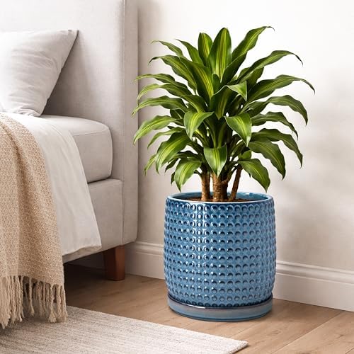 D'vine Dev Beaded Ceramic Pot with Saucer, 10 in, Ocean Teal, 27-C-P-8 - Image 5