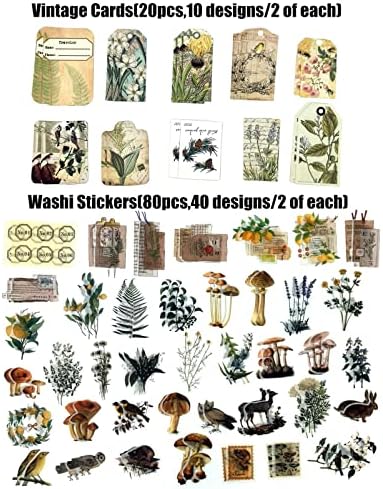 Esweny 260PCS Vintage Journaling Scrapbooking Supplies Scrapbook Sticker Paper Ephemera Pack for Junk Journal Planners Collage Craft Notebooks Album (Plants and Birds) - Image 5