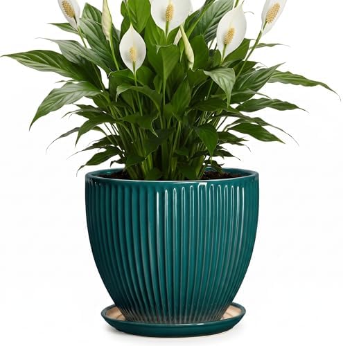 Ceramic Planter, 8 Inch Plant Pots with Drainage Hole and Saucer, Round Flower Pots for Indoor Plants, Modern Decorative Pot for Plants, Bathroom Decor, Gifts for Plant Lovers, Blackish Green by Unknown