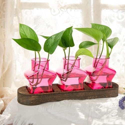 XXXFLOWER Plant Propagation Station with Wooden Stand 3 Pink Star Jars - Image 4