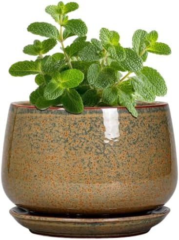 G EPGardening Ceramic Pots for Plants, 4 Inch, Speckled Brown by GEPGardening
