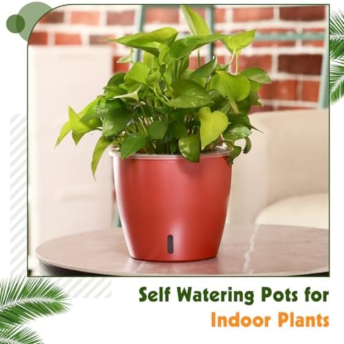 Self Watering Pots for Indoor Plants, 6-Pack 5'' Self Watering Planter with Drainage Holes, Small African Violet Pots with Water Indicator, Clear Wick Orchid Pot, Rose Gold - Image 5