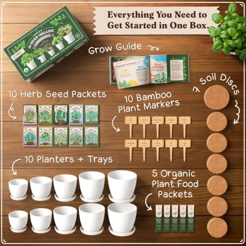 Seedboy Organic Non-GMO Herb Seeds for Planting (Herb Garden Starter Kit) - Image 2