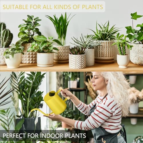 Watering Can Indoor Plants, 35oz Small Stainless Steel Metal Watering Can Modern Decorative Watering Pot with Long Spout for Indoor House Plant Bonsai Garden Flowers (Yellow) - Image 5