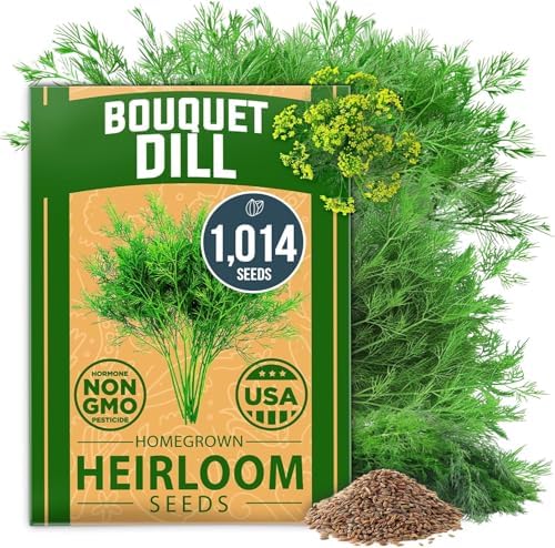 HOME GROWN Bouquet Dill Seeds, 1,014 Seeds, Anethum graveolens by HOMEGROWN