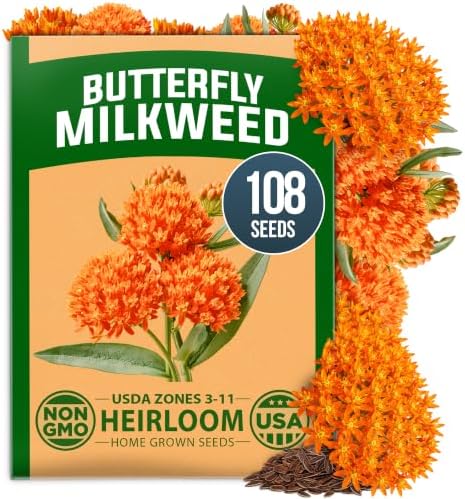 HOME GROWN Milkweed Butterfly Seeds – 108 (Asclepias Tuberosa) by HOMEGROWN