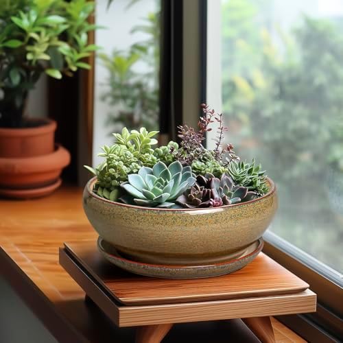 SQOWL Succulent Pots, 8 Inch Ceramic Bonsai Pots with Drainage Tray, Brown - Image 3