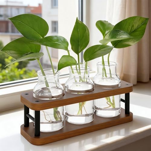 THYGIFTREE Plant Propagation Station with Wooden Stand, Propagation Vases Glass Planters for Indoor Plants Hydroponic Propagating Jars Home Office Decor, Brown by THYGIFTREE