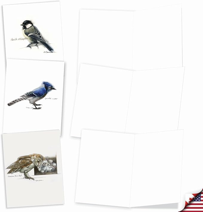 The Best Card Company - 20 Blank Bird Notes with Envelopes - All Occasion Wildlife Nature Animal Card Assortment (10 Designs, 2 Each) - Birds Watching AM3199OCB-B2x10