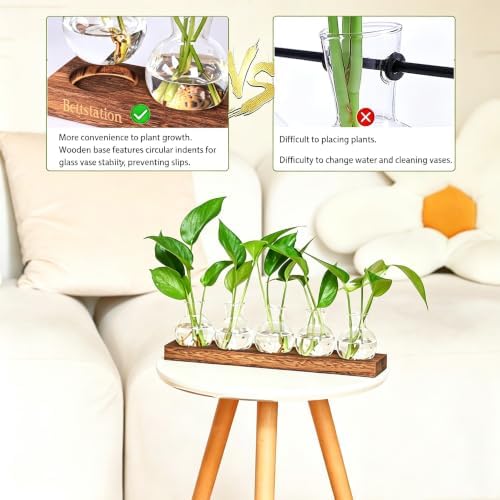 Plant Propagation Station, Plants Terrarium with Wooden Stand - Image 4