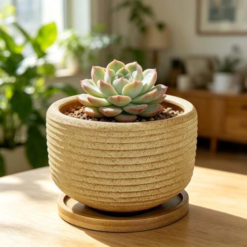 MUZHI Rustic 4 inch Bonsai Plant Pot with Bamboo Tray Set of 4, Unglazed Ceramic Succulent Cactus Pot Indoor Outerdoor with Drainage Hole - Image 6
