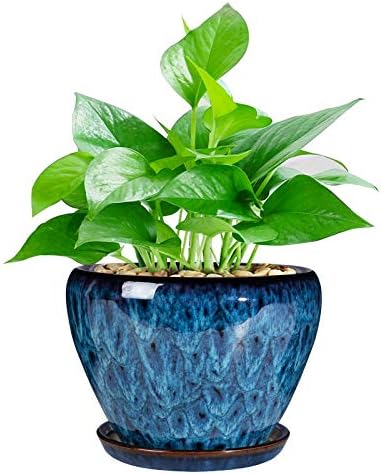 Ceramic Modern Glaze Succulent Planter Pot with Drainage Hole and Saucer 6 Inch Round Flower Plant Pot for Indoor Outdoor Herb Snake Plants by Ceramicfor