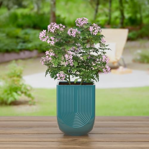 Ceramic Planter, 6 Inch Square Plant Pot with Drainage, Green - Image 5
