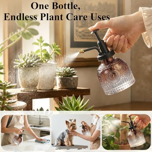 Glass Plant Mister Spray Bottle Vintage Refill Leak Proof Watering Can 8oz - Image 4
