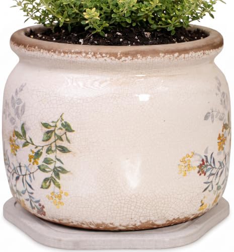 Rustic Cottage Ceramic Plant Pot with Decorative Saucer, Plant Lover Gifts by XiaanJiaju