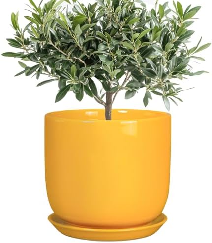 Ceramic Plant Pot 8 Inch - Decorative Modern Round Indoor Planter for Plants Flowers with Drainage Hole and Saucer, House Desk Office Home Decor, Yellow by SUNPOTFOR