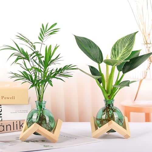Cute Plant Propagation Station Glass Bulb Water Vases Green Office Decor - Image 2