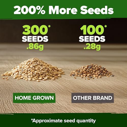 HOME GROWN Beefsteak Tomato Seeds, 300+ Seeds, Solanum lycopersicum - Image 3