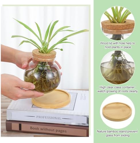 Layhit 4 Pcs Plants Propagation Stations vases Glass Planters with Wooden Lid and Bamboo Stand for Hydroponic Plants Gardening Gifts for Women Mom Home Office Tabletop Decoration(Lovely Style) - Image 4