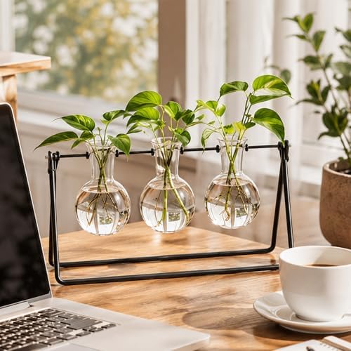 Plant Propagation Stations, Plant Terrarium with Minimalist Metal Stand - Image 6