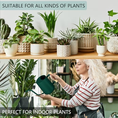 Watering Can Indoor Plants, 35oz Small Indoor Stainless Steel Metal Watering Can Modern Decorative Watering Pot with Long Spout for Indoor House Plant Bonsai Garden Flowers (Alpinegreen) - Image 4