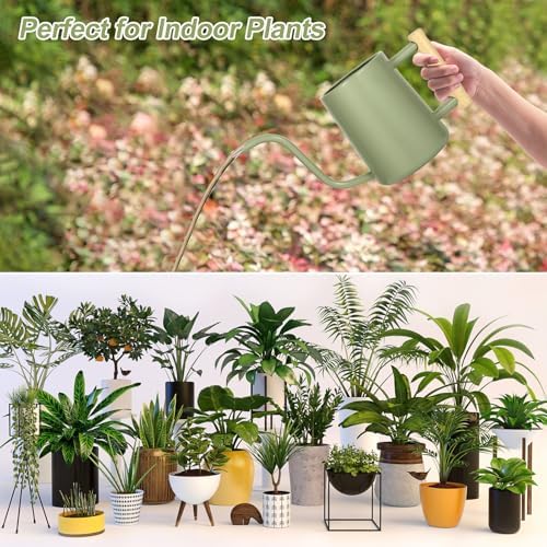 Watering Can Indoor Plants, 35 oz/1000 ml Metal Stainless Steel Watering Can Pot with Long Spout for Indoor House Plants Bonsai Outdoor Garden Flower Decorative (Sage Green) - Image 6