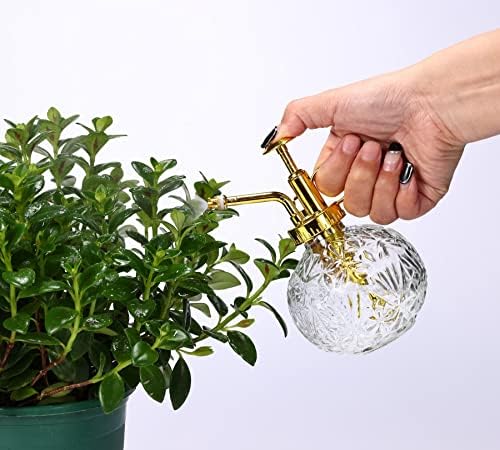 Glass Plant Mister Spray Bottle, 6.5" Clear Glass Water Spray Bottle with Gold Top Pump Small Watering Can, Small Plant Sprayer Mister for Indoor Outdoor House(Clear+Gold E) - Image 5