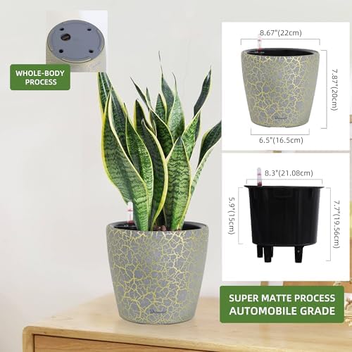 Dexceder 9x8 Self Watering Planter (Grey Gold Crackle) - Image 2