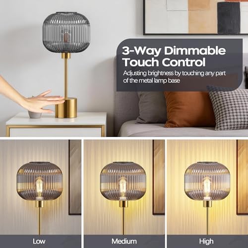 QiMH Glass Table Lamp for Living Room, Modern Bedside Lamp with Grey Ribbed Glass Shade, 3-Way Dimmable Touch Control Nightstand Lamp for Bedroom, Brushed Gold (2700K LED Bulb Included) - Image 2