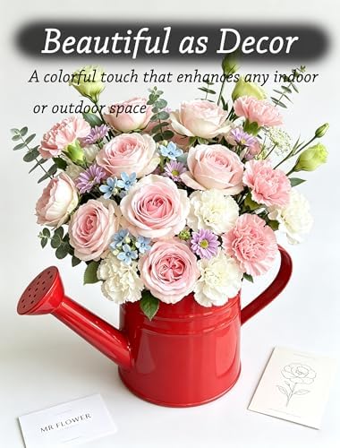 Small Watering Can for Indoor Plants, Red, 1L - Image 2