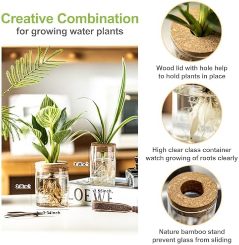 Glass Plant Propagation Stations for Plants – Set of 4(2 Large & 2 Small) Hydroponic Vases for Plant Cuttings,Flower Arrangements, Home & Office Decor–Desktop Vases for Living Room, Bedroom (4) - Image 2