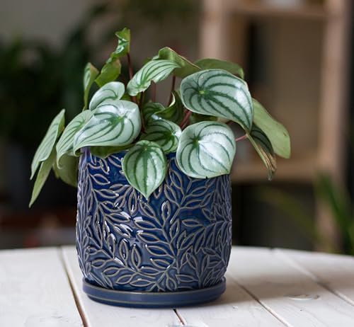 D'vine Dev Embossed Leaves Ceramic Planter, 5 in, Midnight Blue, 27-A-V-3 - Image 6