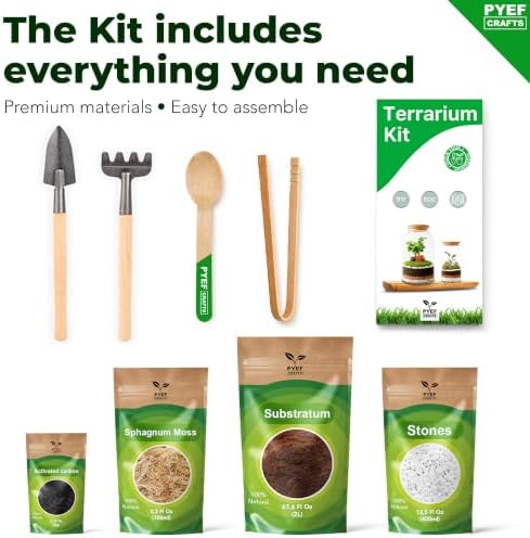 DIY Terrarium Kit for Plants – Build a Self‑Sustaining Closed Ecosystem – Supplies for Up to 1 Gal (3-5 Liter) Glass Jar – Succulents, Air Plants (Tillandsia), Fern (XL) - Image 4
