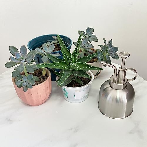 Stainless Steel Plant Sprayer, Small Watering Can for Indoor Potted Plants - Image 4