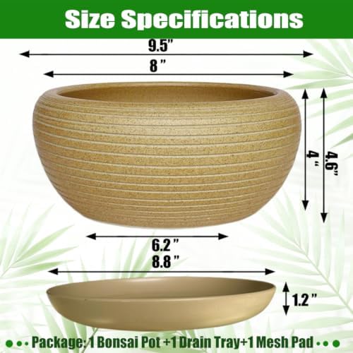 MUZHI 9.5” Round Large Ceramic Bonsai Bowl Planter，Clay Succulent Plant Pot Container with Saucer (9.5”) - Image 2