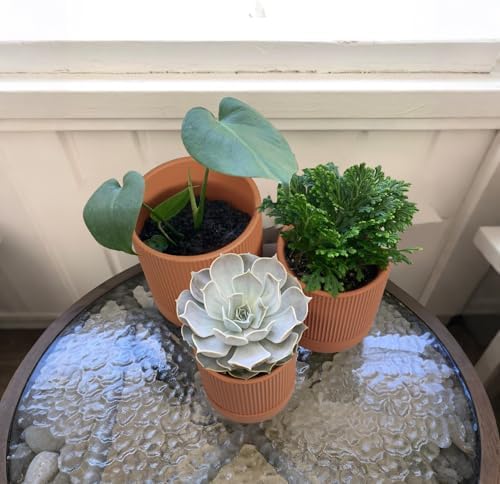 HERDUK Modern Terra Cotta Pots, 6 Inch 5.1 Inch 4 Inch Ribbed Textured Clay Planter Set with Drainage Holes & Saucers, Garden Pots for Indoor/Ourdoor Plants Succulent, Cactus & Herb - Image 5