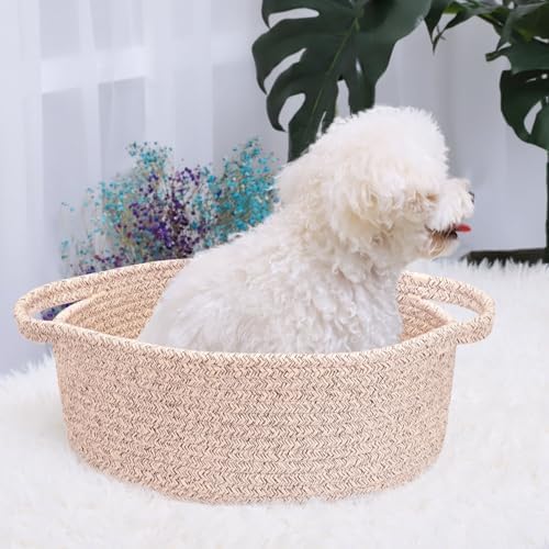 ABenkle Small Basket with Handles, Boho Decorative Rope Woven Dog Cat Toy Storage Bin Shelf Storage Organizer, Easter Christmas Gift Basket, 12"x8"x5" - Image 3