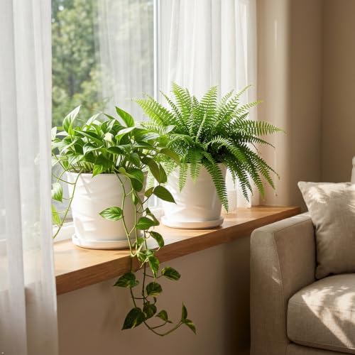 6 Inch Plant Pot,Ceramic Planter with Drainage and Saucer(6.7 In Diameter) - Image 2