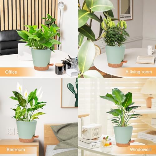 Vanslogreen Planters for Indoor Plants 7/6.5/6/5.5/5 Inch, Self Watering Planters with Drainage Holes and Saucers 5 Pack Plastic Pots for Plants, Succulents, Herbs, Cactus, Flower Pots, Green - Image 6