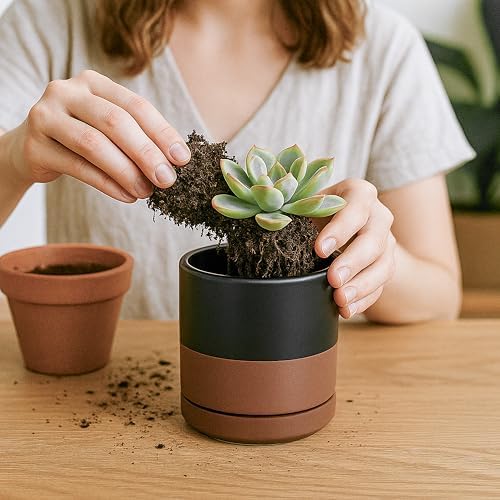 D'vine Dev 3.5 Inch Ceramic Planter Pot, Black/Tan, 94-O-A-7 - Image 5