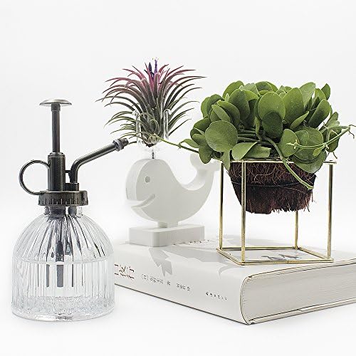 Glass Plant Mister Water Spray Bottle, 200 ML Glass Plant Spritzer Mister Bottle, Vintage Style Glass Succulent Watering Bottle with Top Pump, Plant Sprayer Mister for Indoor Plants - Clear - Image 6