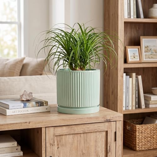 Ceramic Plant Pots, 8 Inch Pots for Plants with Saucer, Mint Green - Image 3