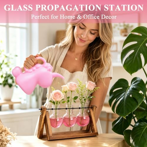 XXXFLOWER Plant Terrarium Kit with Wooden Stand 3 Gradient Pink Bulb Vases - Image 4