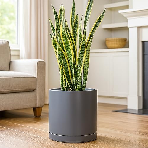 D'vine Dev 12 Inch Ceramic Planter Pot, Grey, 94-O-F-3 - Image 2