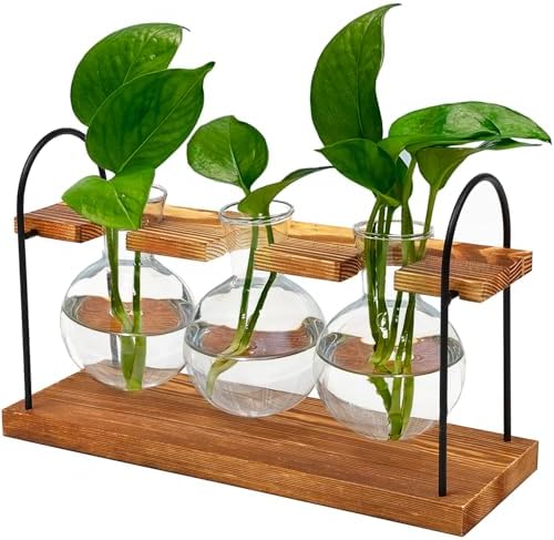 Plant Terrarium with Wooden Stand, Birthday Gift for Women Mom Plant Lover by Wellinc