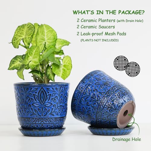 Gepege Ceramic Plant Pots, 6 Inch Indoor Planters with Drainage & Saucers - Image 3