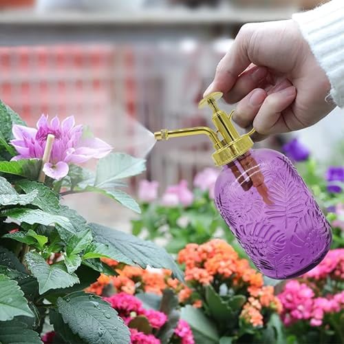 Glass Plant Mister Spray Bottle, 350ML Vintage Plant Spritzer, Succulent Watering Bottle Glass with Top Pump, Small Plants Sprayer Watering Can for Indoor (Purple) - Image 2