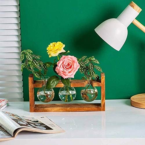 Kingbuy Glass Plant Terrarium with Retro Wood Stand, 3 Bulbs - Image 2