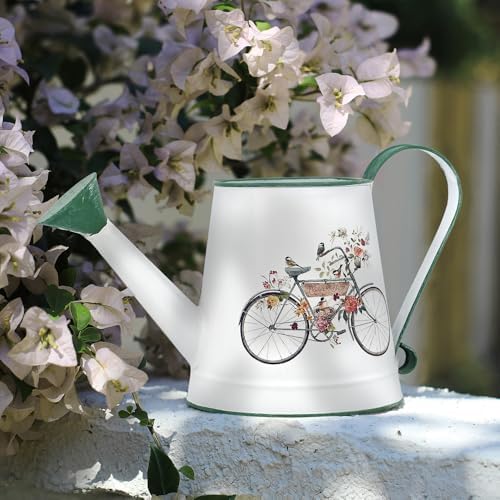 Small Metal Watering Can for Indoor & Outdoor Plants Garden Decor - Image 3