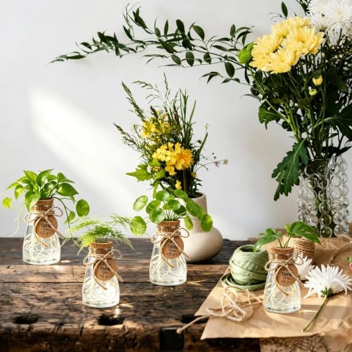 Ysglory 30 Pack Plant Propagation Stations 3.35" Plastic Vases - Image 2